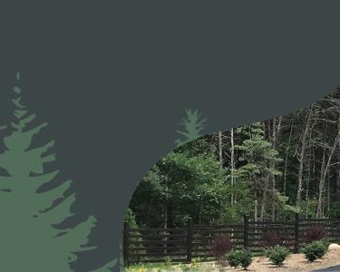 The Camp Tuhsmeheta entrance arch and sign next to an illustration of pine trees.