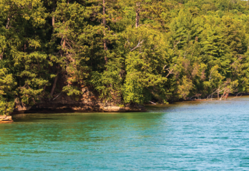 Lush green trees line a serene, clear blue water body, creating a tranquil natural landscape under bright sunlight.