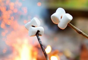 Closeup of two tree branches held over a campfire with two marshmallows speared on each branch.