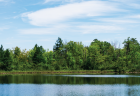 The lake at Camp T surrounded by pine trees on a sunny day.