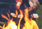 Closeup of five people roasting marshmallows over a fire.