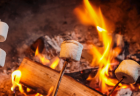 Marshmallows roasting over a campfire.