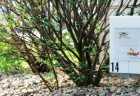Two signs featuring pages of a book are placed low to the ground next to a building.