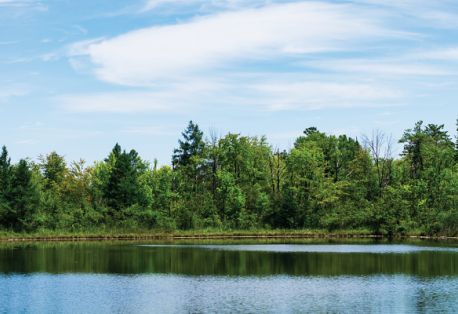 The lake at Camp T surrounded by pine trees on a sunny day.