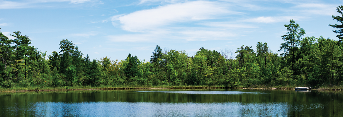 The lake at Camp T surrounded by pine trees on a sunny day.