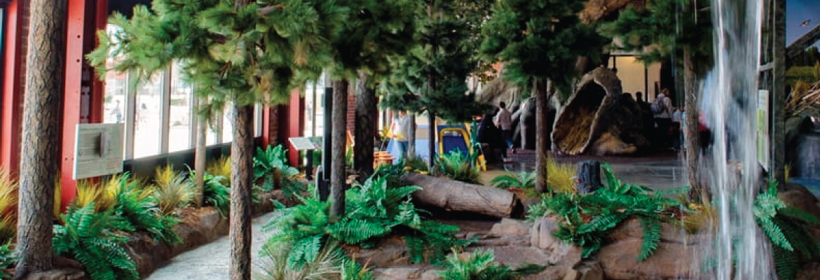 A simulated forest in Detroit’s DNR Outdoor Adventure Center. A path goes through pine tress and ferns to a camping exhibit. 
