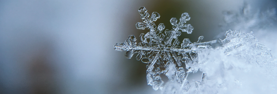 Extreme closeup of a snowflake on a winter day.