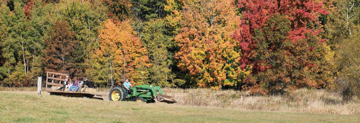 Parents and children ride in a trailer pulled by a tractor in a large field surrounded by trees in fall.