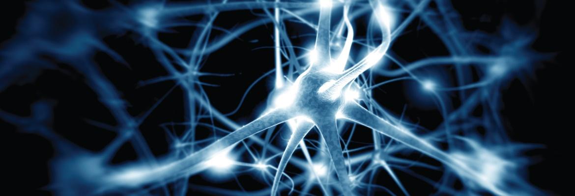 Illustrated closeup of blue and white neurons against a black background.