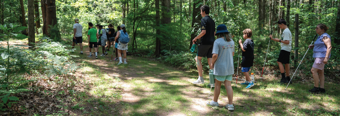 Campers with white canes walk down a tree lined forest path. 