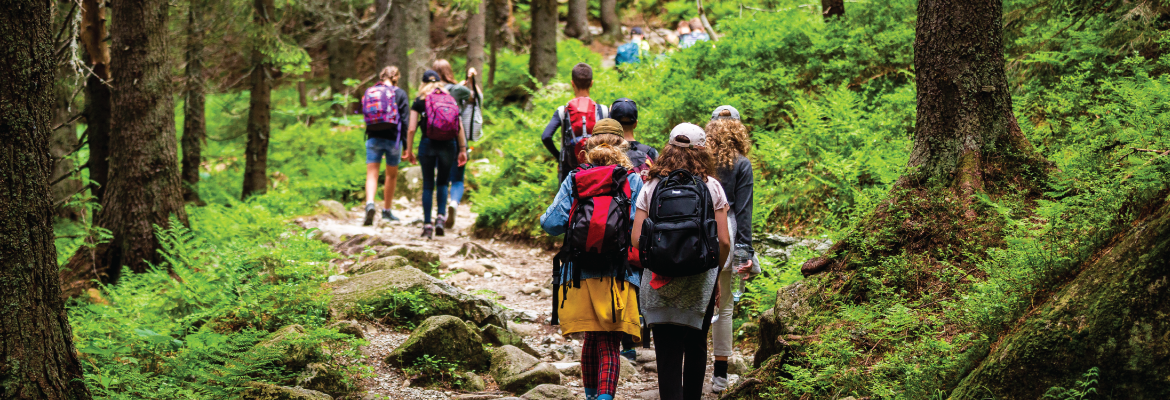 Several groups of teenagers walk along a path in the woods, surrounded by green plants.