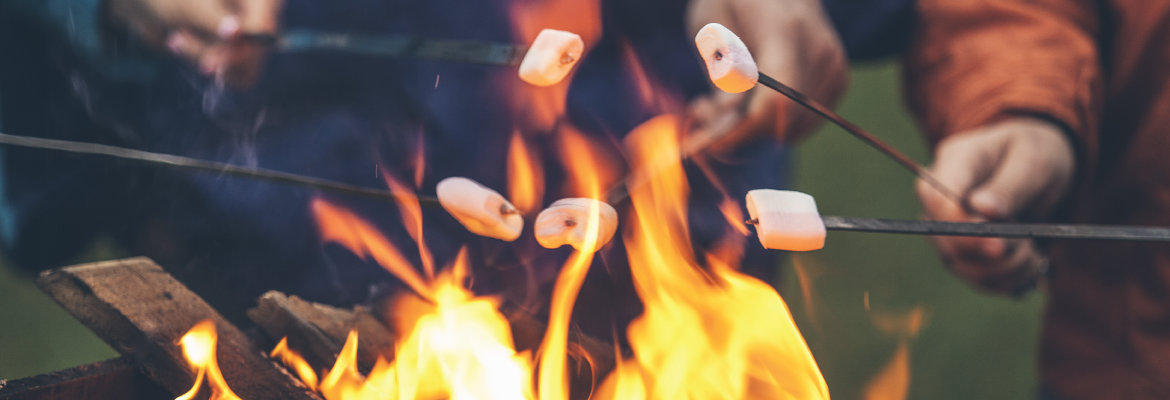 Closeup of five people roasting marshmallows over a fire.