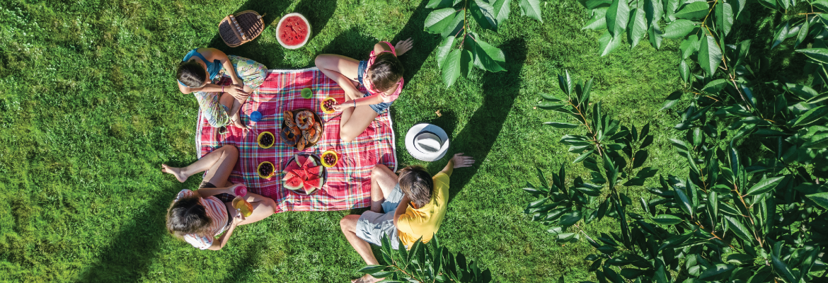 An arial view of kids on a picnic.