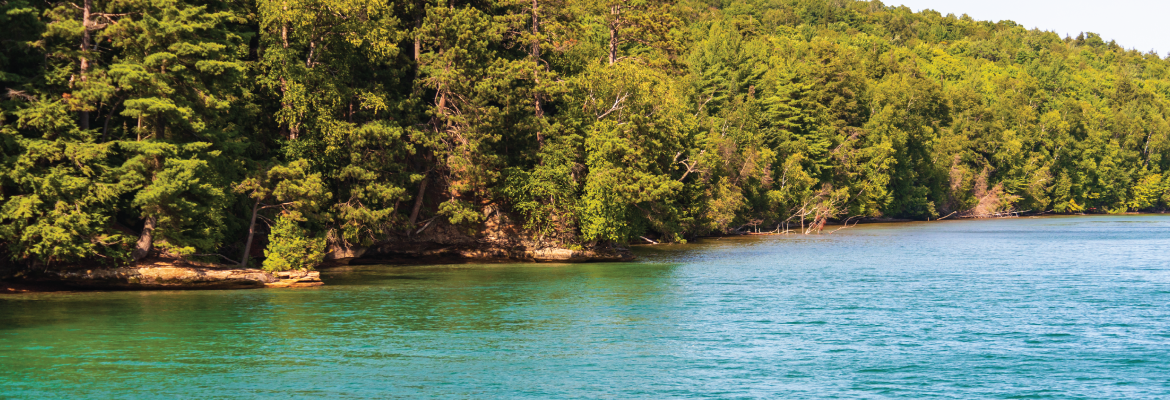 Lush green trees line a serene, clear blue water body, creating a tranquil natural landscape under bright sunlight.