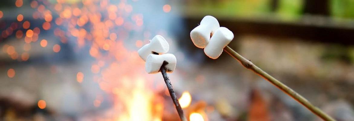 Closeup of marshmallows on sticks roasting over a campfire.