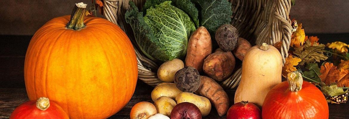 An overturned basket with pumpkins, cabbage, potatoes, and gourds in front of it.