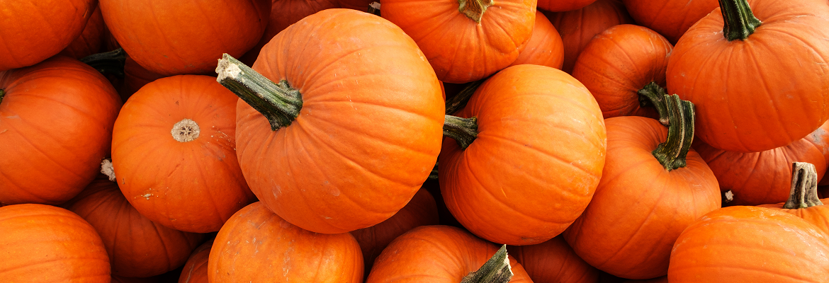 A pile of bright orange pumpkins.