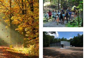 A collage of images showing an autumn forest path, Students walking a forest trail, Sassafras Science and Nature Center, Oak Recreation Center, and Students doing a craft activity with Camp T staff.