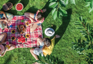 An arial view of kids on a picnic.